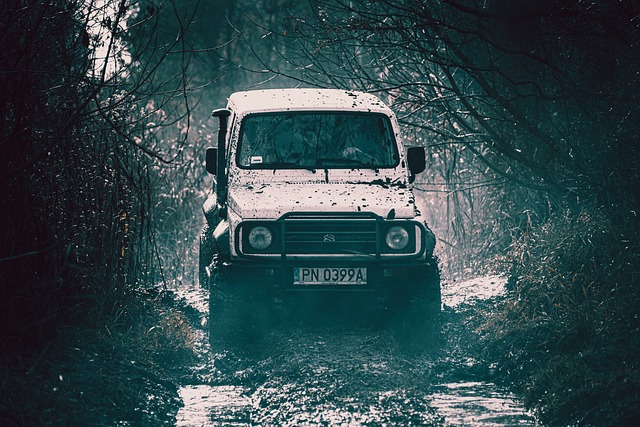 4x4 Truck