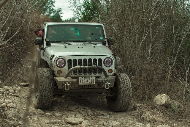 Optimizing Overland Trucking: Winch Selection & Installation Guide for Brownsville 4×4 Repairs