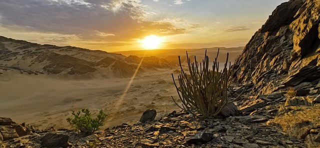 Off-Road Tires Guide: Choosing, Shops Near Me in Brownsville