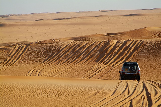 Unlock Unbeaten Trails: Top Off-Road Tire Deals in McAllen