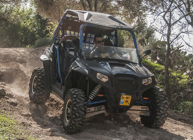 Affordable 4×4 Winch Maintenance: A Brownsville Truck Owner’s Guide