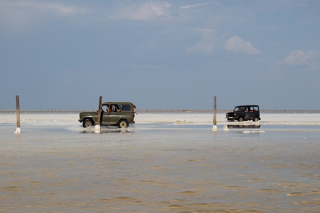 4x4 Truck