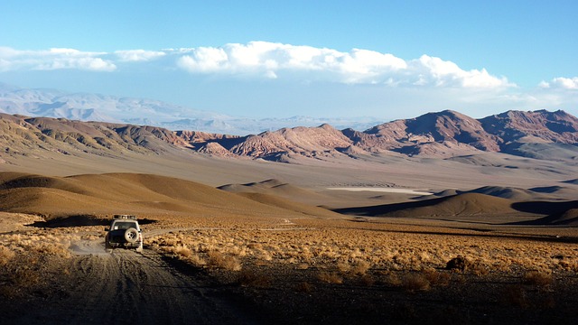 Protect & Personalize Your Truck: Durable Seat Covers for Off-Road Adventure with Free Shipping!