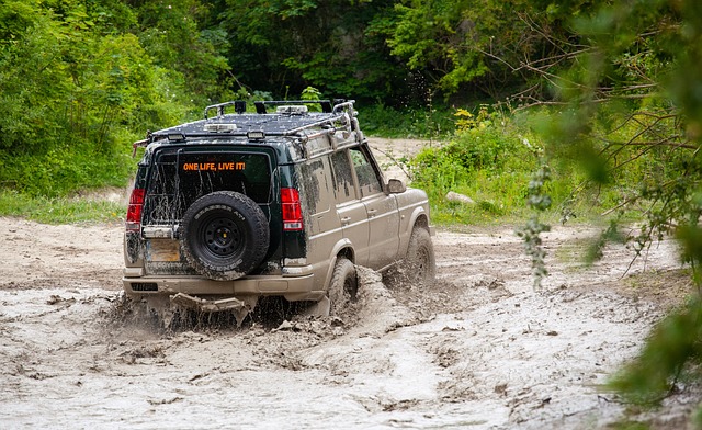 Coilovers for 4x4s: Advantages, Installation Tips from Brownsville Repair Shops