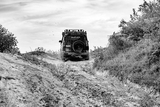 Optimizing Brownsville Truck Performance with Advanced Suspension Upgrades & Equipment