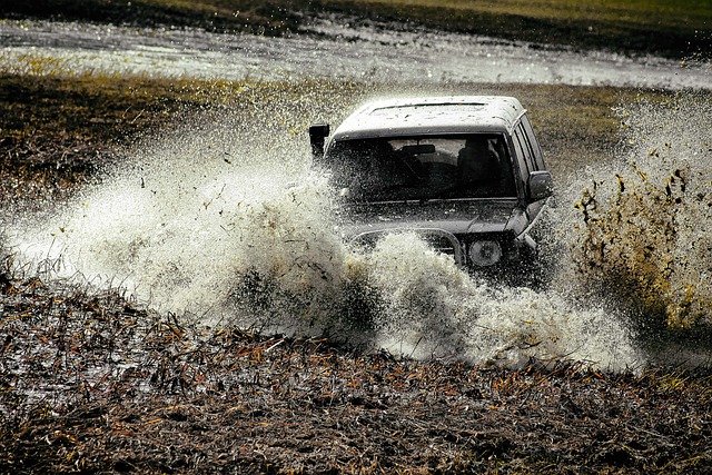 4x4 Truck