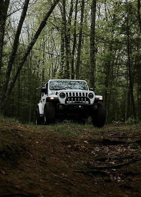 Expert 4×4 Specialists in Brownsville, TX: GMC Sierra Parts Mastery