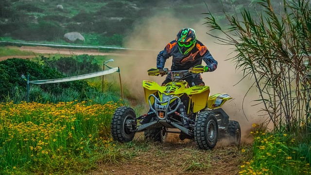 Brownsville 4WD Explorers: Unshackling History & Shaping Modern Off-Road Adventures