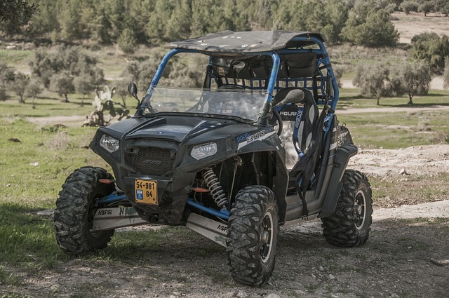 4x4 Truck
