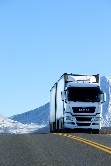 4x4-truck-640x480-21207951.jpeg