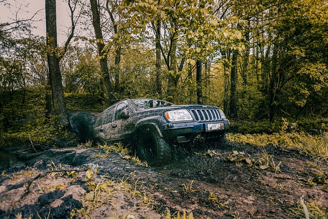 Affordable Off-Road Vehicle Repairs Brownsville: Master Recovery Straps for Efficient Solutions
