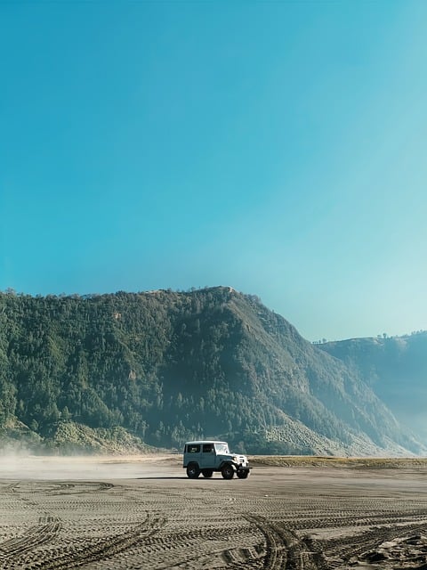 4x4 Truck