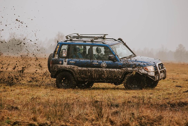 Off-Road Truck Seat Covers: Protection & Style for McAllen Adventurers