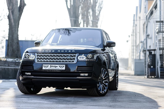Off-Road Lighting Guide: Accessories in Brownsville for Optimal Performance
