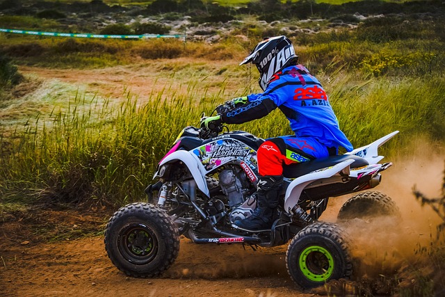 Brownville 4WD Explorers: Understanding Rock Rails for Optimal Safety & Performance