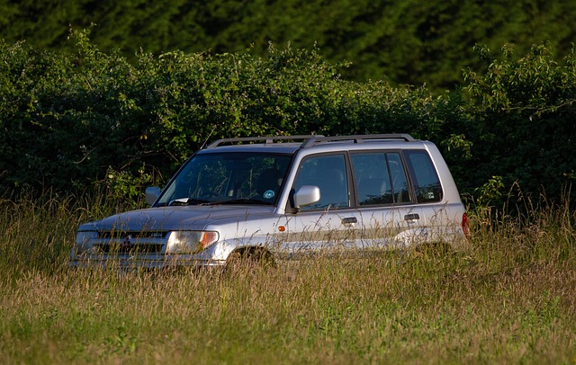 4x4 Truck