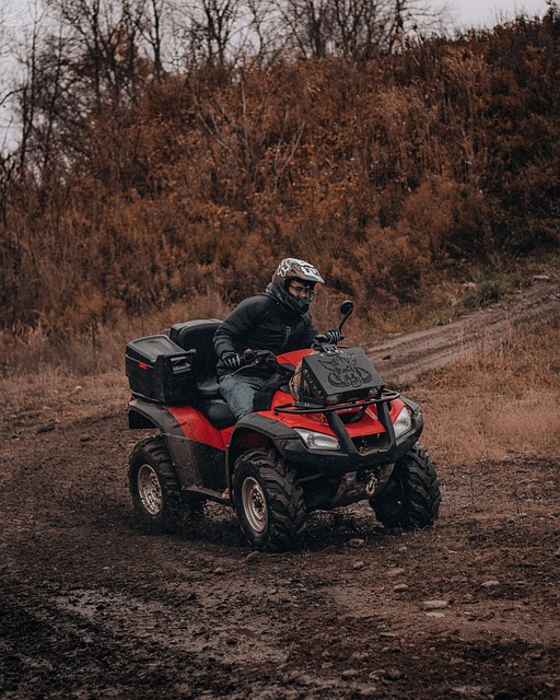 4x4-truck-640x480-59058283.jpeg