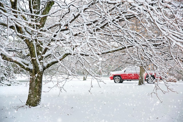 Optimizing 4×4 Brakes: Guide for Brownsville Shoppers
