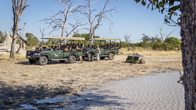 4x4-truck-640x480-95764580.jpeg