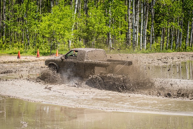 4x4-truck-640x480-32582601.jpeg