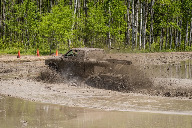 4x4-truck-640x480-44212455.jpeg