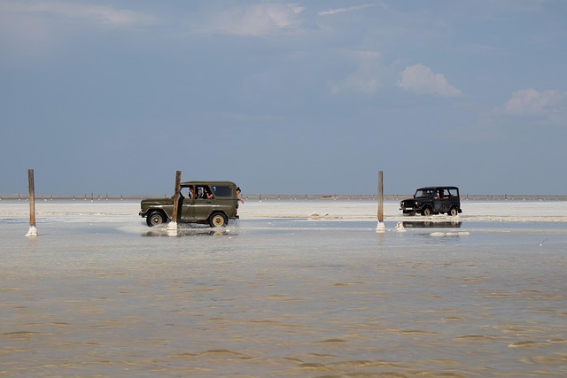 4x4-truck-640x480-63664921.jpeg