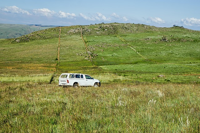 4x4-truck-640x480-39920284.jpeg