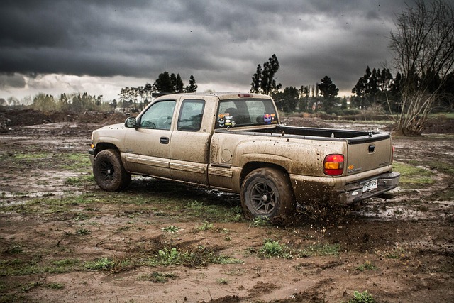 4x4-truck-640x480-61063150.jpeg
