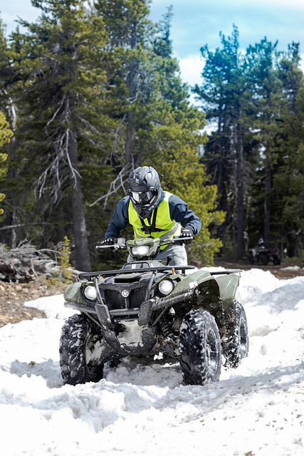 4x4-truck-640x480-79311136.jpeg