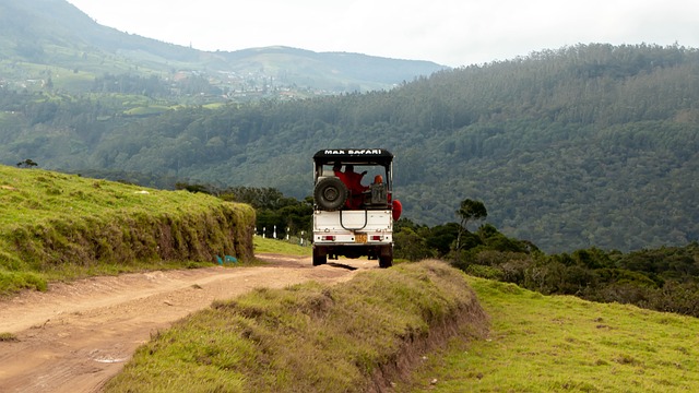 4x4-truck-640x480-87062801.jpeg