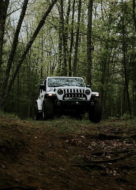 4x4-truck-640x480-18443614.jpeg