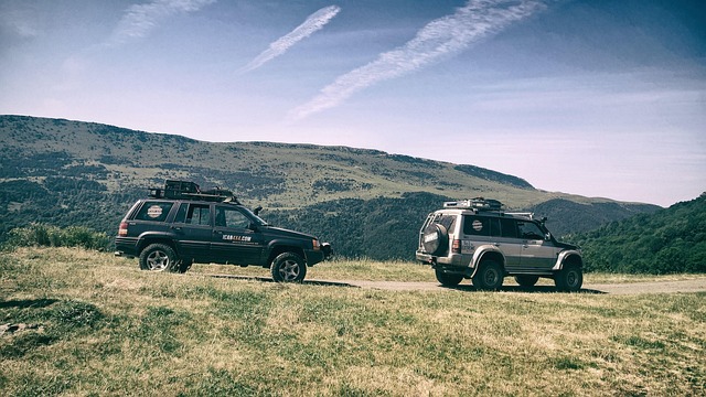 4x4-truck-640x480-87355492.jpeg