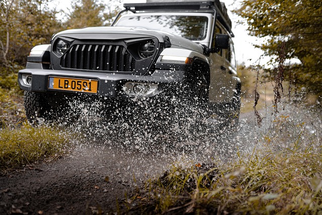 4x4-truck-640x480-84722455.jpeg