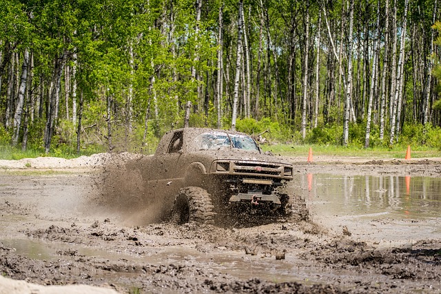 4x4-truck-640x480-85110991.jpeg