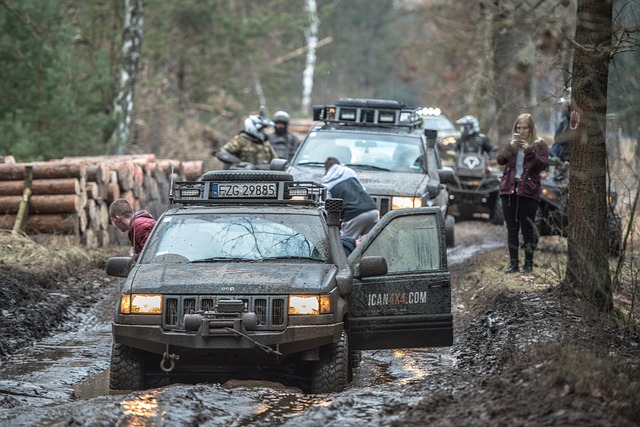 4x4-truck-640x480-10486935.jpeg