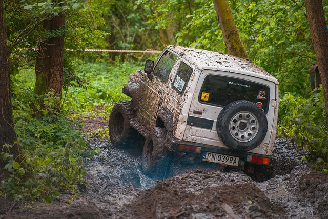 4x4-truck-640x480-1174589.jpeg