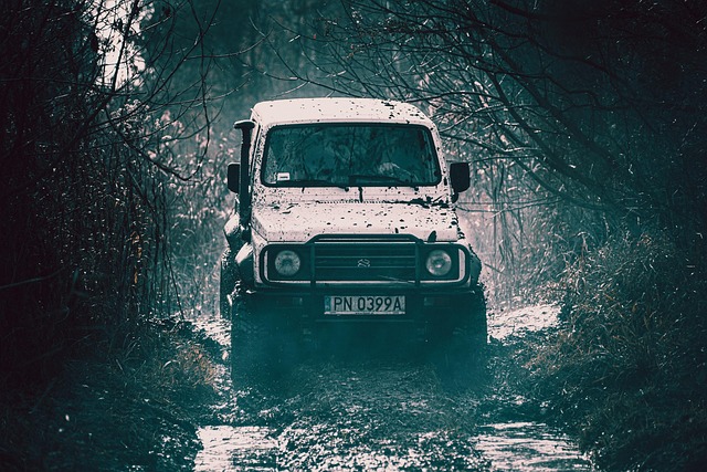 4x4-truck-640x480-23540880.jpeg