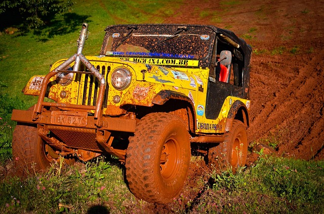 4x4-truck-640x480-86581853.jpeg