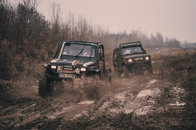 4x4-truck-640x480-90301211.jpeg